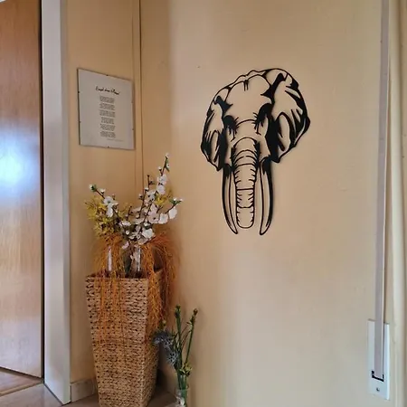 Hell Und Gemuetlich, Ca. 60qm. * Osnabrück