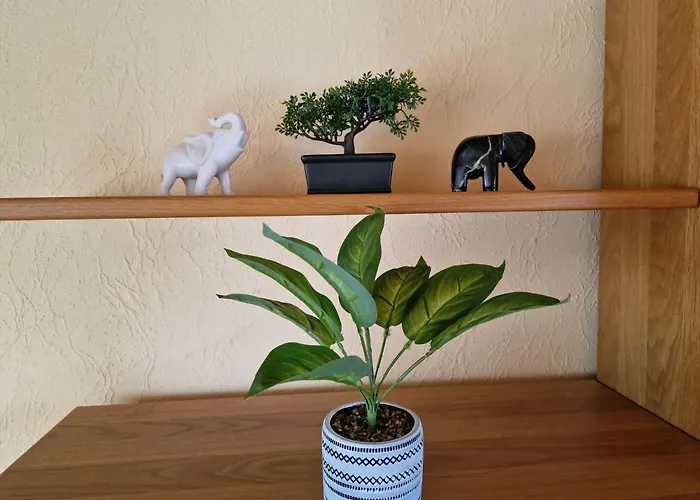 公寓 Hell Und Gemuetlich, Ca. 60qm. *